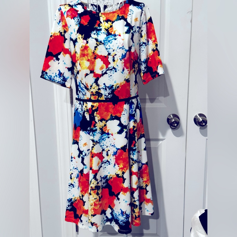 Maggy London Abstract Floral A line dress